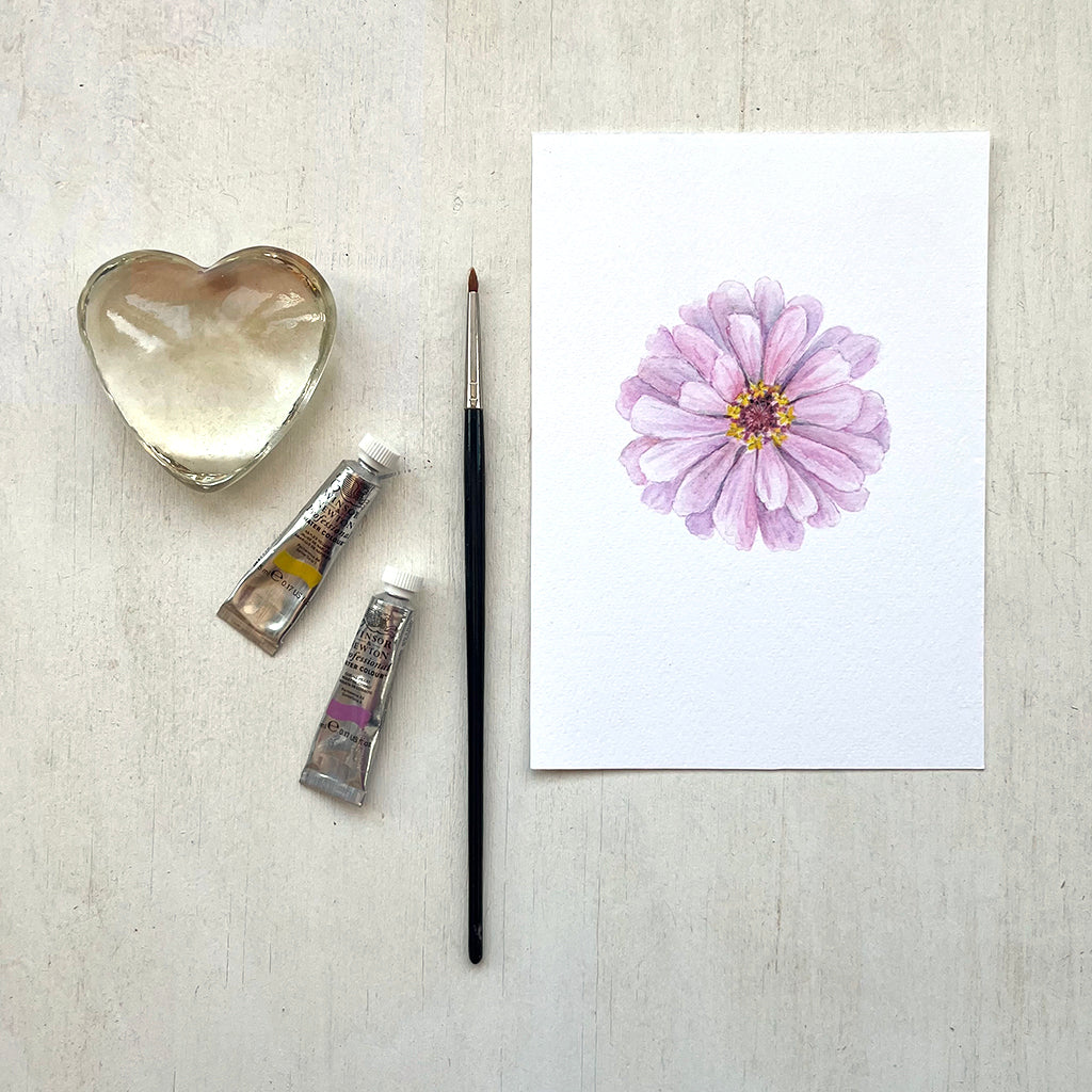 Pink Zinnia Watercolour Print