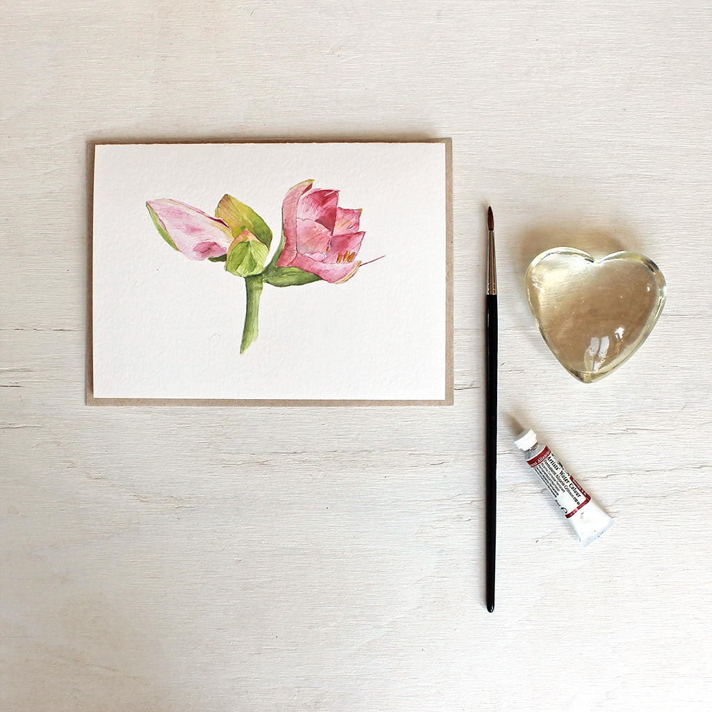 Note card with a watercolour painting of pink amaryllis flowers. Artist Kathleen Maunder.