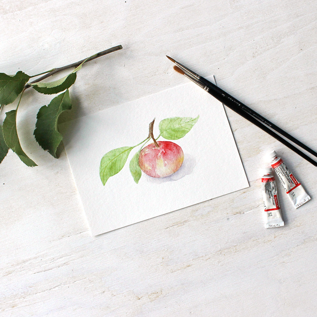 Print of watercolor painting of apple by Kathleen Maunder - Trowel and Paintbrush