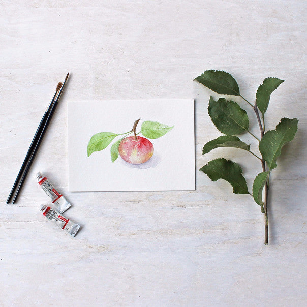 Watercolor print of apple painting - Watercolor artist Kathleen Maunder