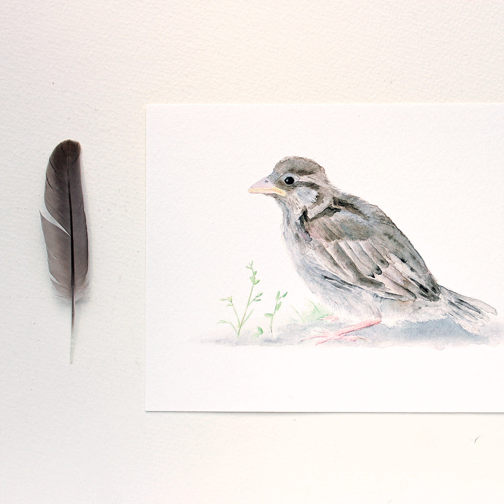 Baby Sparrow Print