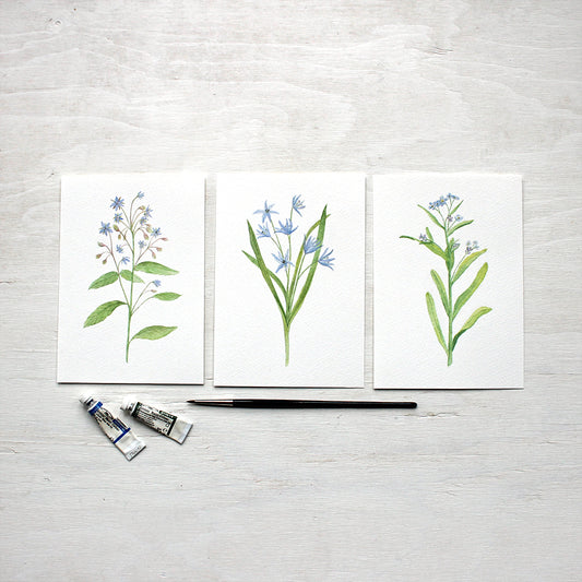 Blue botanical watercolor prints - Borage, Scilla and Forget-me-nots by artist Kathleen Maunder