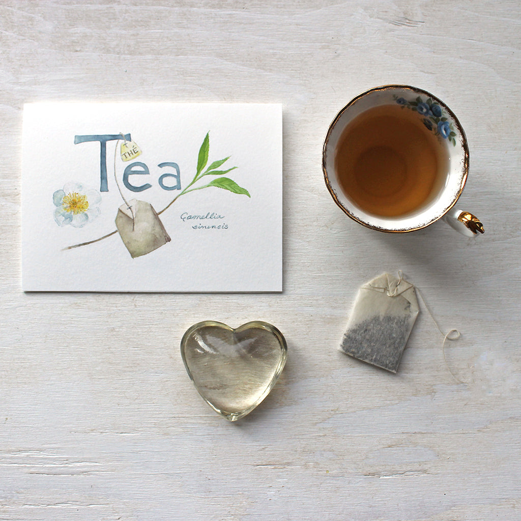 Botanical watercolor of tea plant (camellia sinensis) on notecard by Trowel and Paintbrush