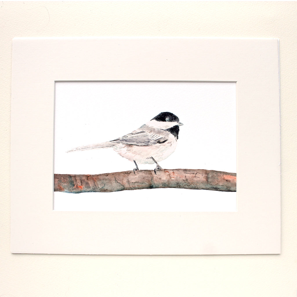 Black-capped chickadee watercolour art print. Artist Kathleen Maunder.