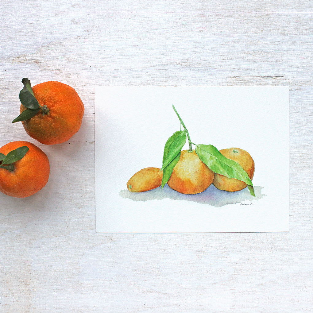 A an art print featuring a watercolor painting of two clementines and a kumquat. Artist Kathleen Maunder