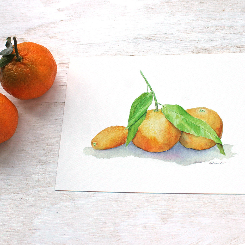 Clementines and kumquat watercolor print by Kathleen Maunder, trowelandpaintbrush.com