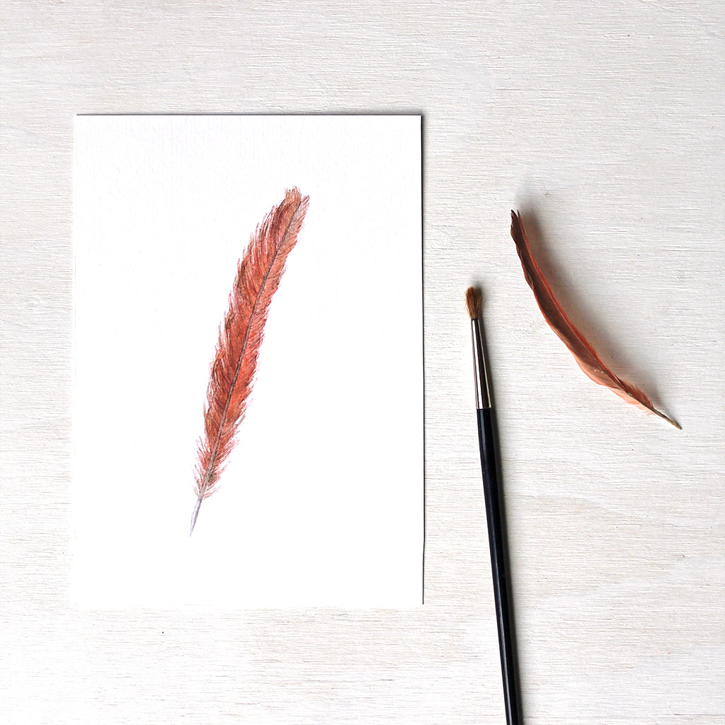 An art print featuring a watercolor painting of a female cardinal feather. Artist Kathleen Maunder.