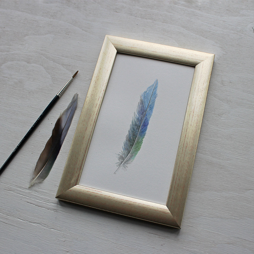 Framed original watercolor painting of a parrot feather by Kathleen Maunder