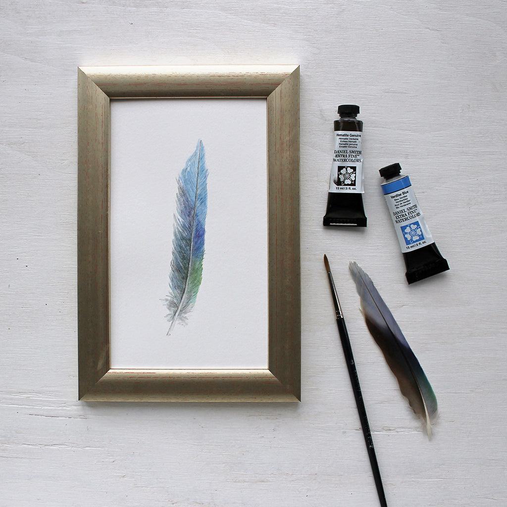 Framed original watercolor painting of a parrot feather by Kathleen Maunder