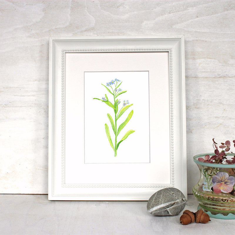 Framed forget-me-not print by artist Kathleen Maunder, trowelandpaintbrush