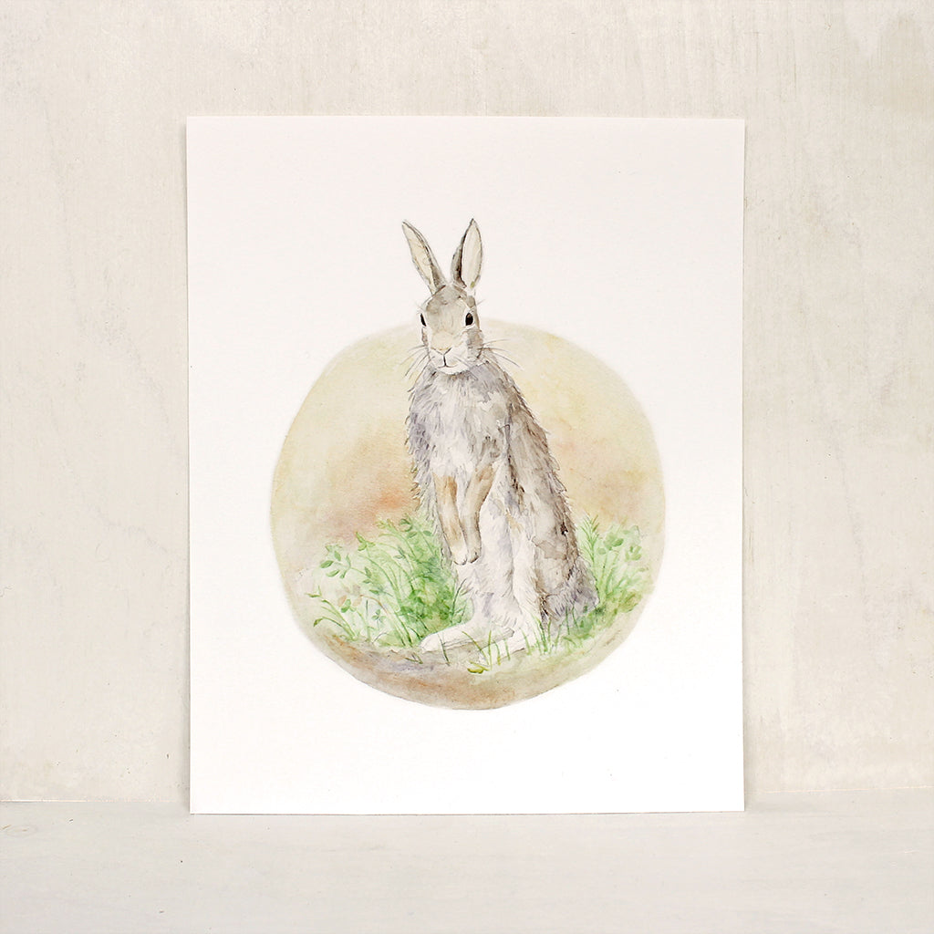 Garden rabbit art print. Reproduction of a watercolor painting of an Eastern cottontail rabbit. Artist Kathleen Maunder.