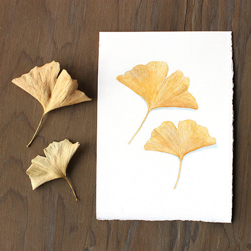 Original Watercolor - Ginkgo Leaf