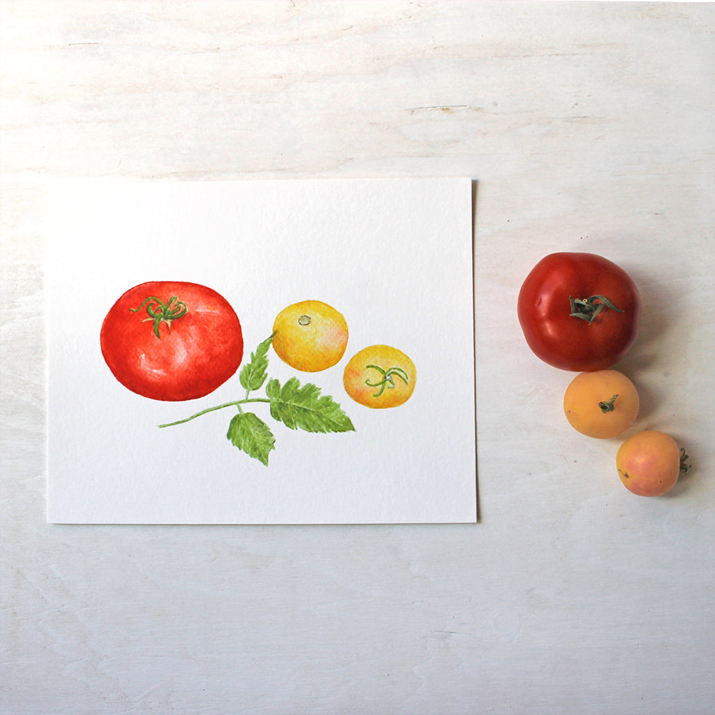 An art print with a red Beefsteak tomato and two yellow Garden Peach tomatoes. Painted in watercolour by Kathleen Maunder.