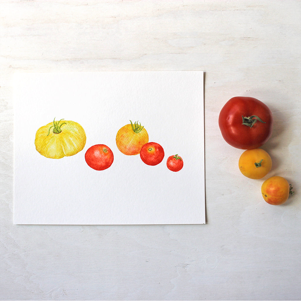 Yellow and red heirloom tomatoes painted in watercolor by artist Kathleen Maunder. Available as print.