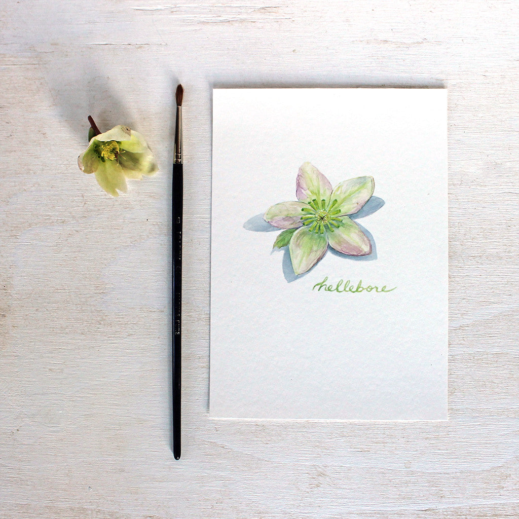 Hellebore art print featuring a watercolor painting by Kathleen Maunder