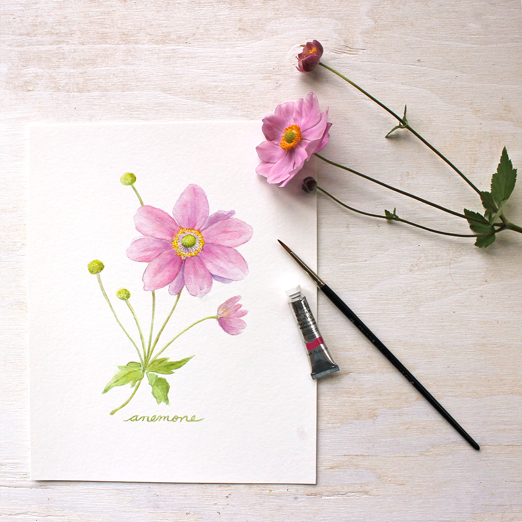 Reproduction of a watercolor painting of a pink Japanese anemone by artist Kathleen Maunder.