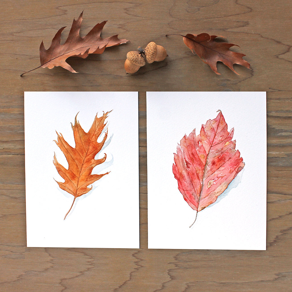 A set of two autumn leaf art prints: an oak leaf and red beech leaf. Based on watercolor paintings by Kathleen Maunder.