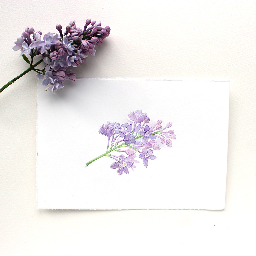 Brin de lilas - Aquarelle originale