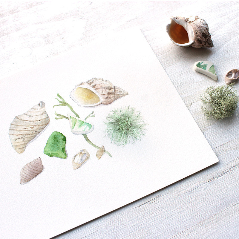Maine beach finds watercolor print by Kathleen Maunder, trowelandpaintbrush