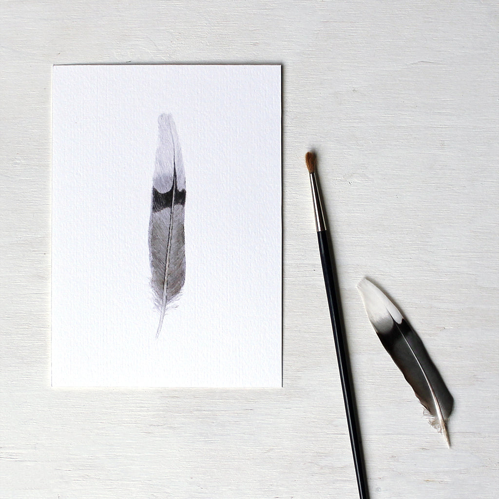 An art print featuring a watercolor painting of a mourning dove feather. Artist Kathleen Maunder.