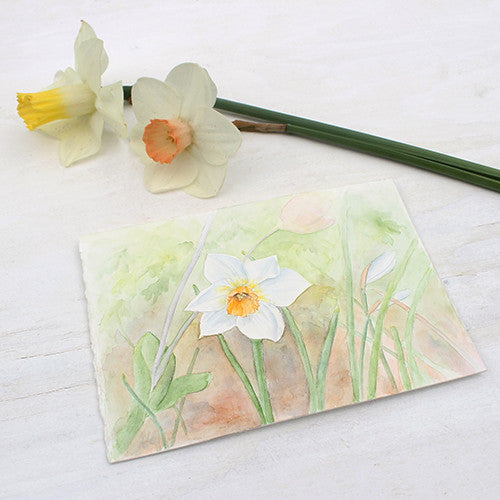 Daffodil Watercolor Painting - Narcissus