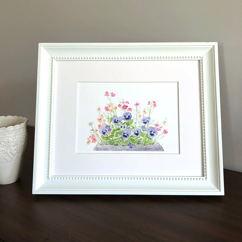 A framed print of a watercolour painting depicting a flower pot containing blue pansies, pink nemesia, coral diascia and white euphorbia. Artist Kathleen Maunder.