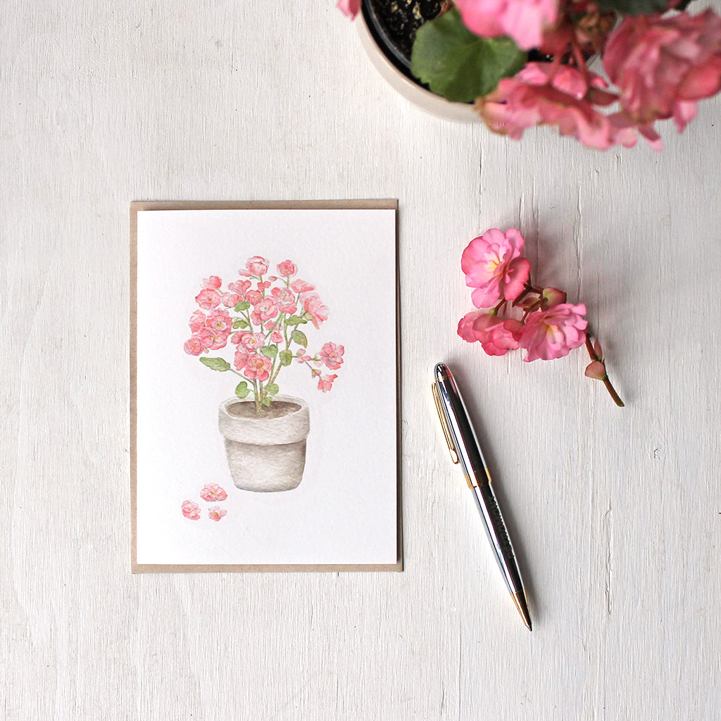 Pink begonia in a pot - Set of note cards based on a watercolour painting by Kathleen Maunder