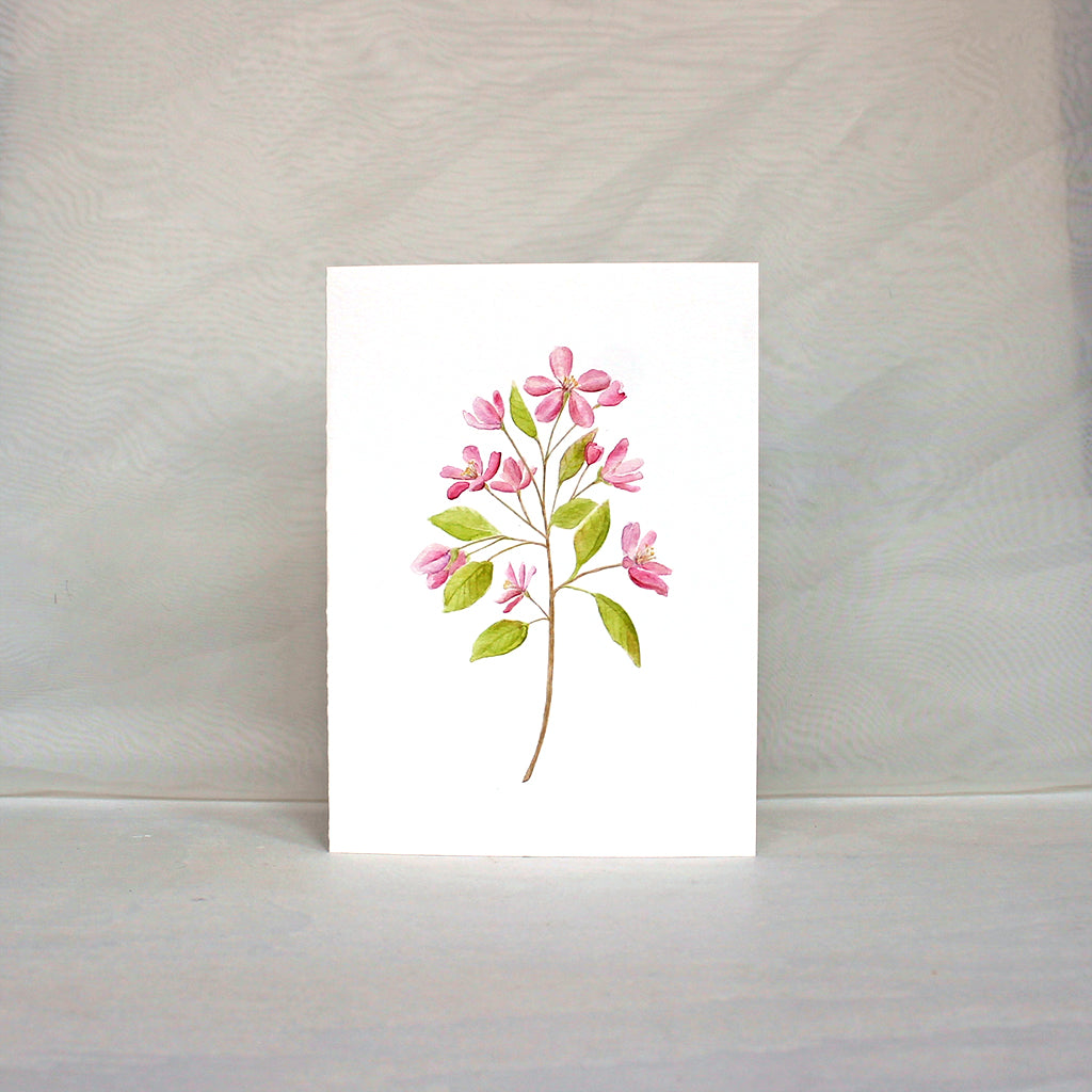 Note card featuring pink crabapple blossoms painted in watercolor. Artist Kathleen Maunder.