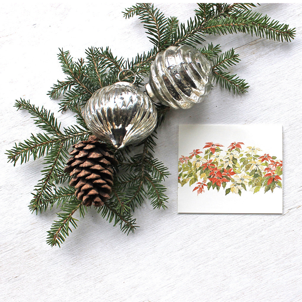 Poinsettias Holiday Gift Tag featuring a delicate watercolor painting of red and cream coloured poinsettia. Artist Kathleen Maunder.