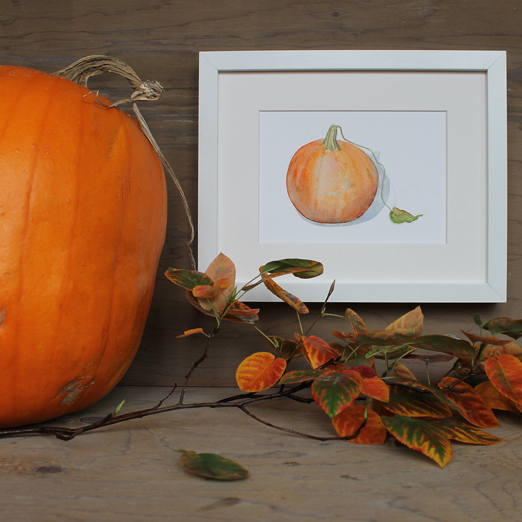 Framed art print of a watercolor painting of an orange pumpkin with leaf. Artist Kathleen Maunder.