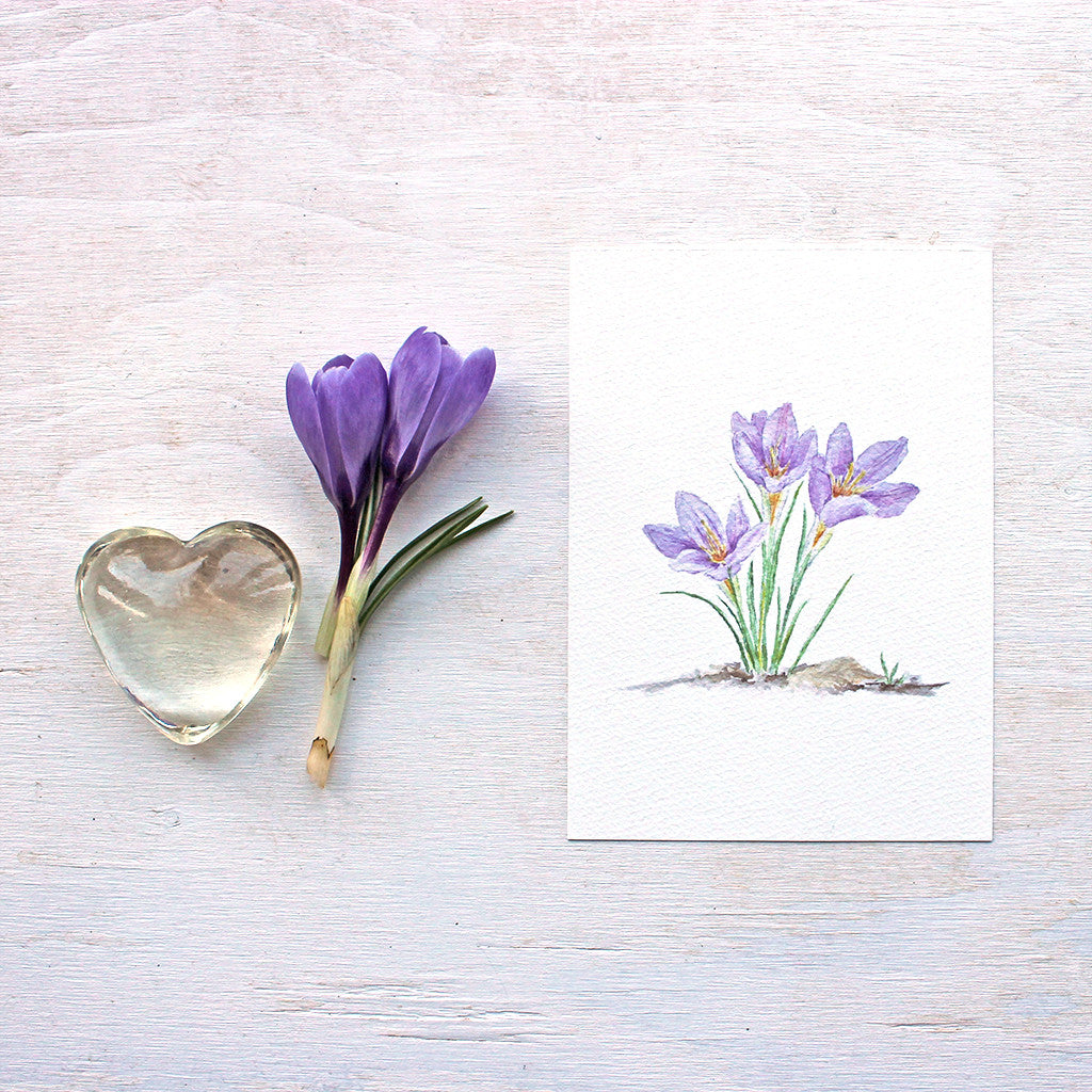 Art print featuring a purple crocuses watercolour by Kathleen Maunder, trowelandpaintbrush