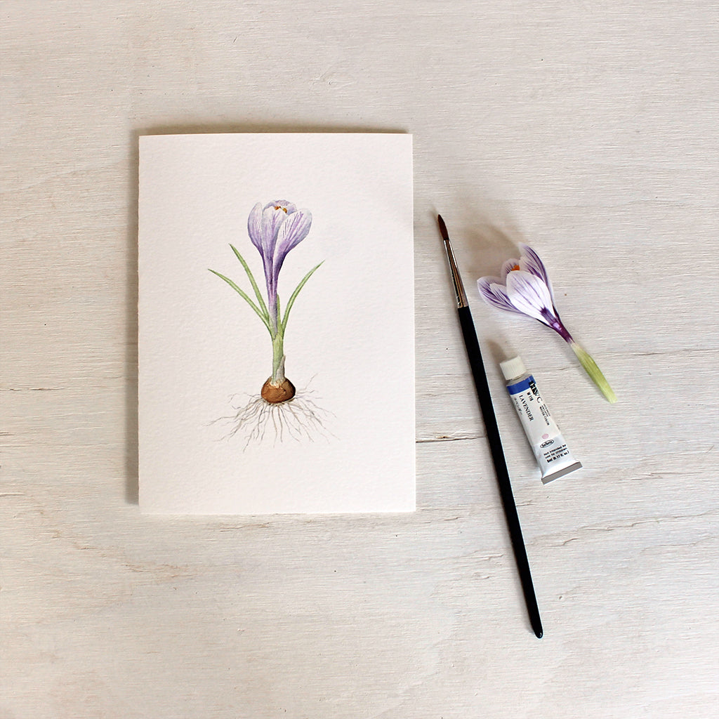 Striped purple crocus watercolor on note card. Artist Kathleen Maunder