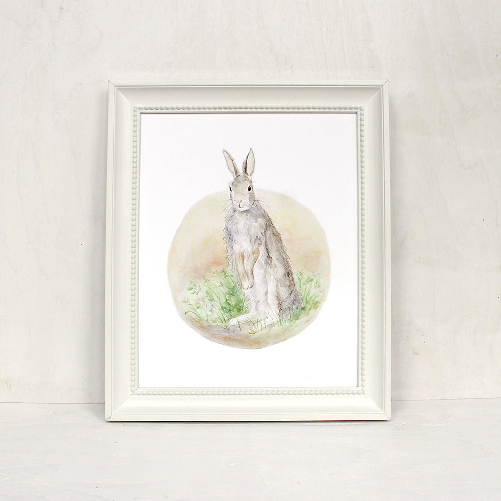Framed garden rabbit art print. Reproduction of a watercolor painting of an Eastern cottontail rabbit. Artist Kathleen Maunder.