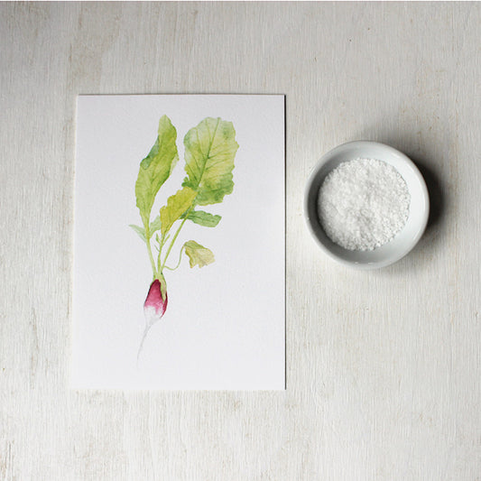Print of French breakfast radish watercolor painting by artist Kathleen Maunder