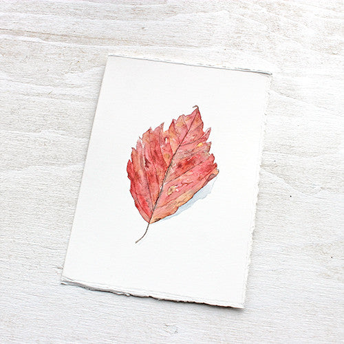 Delicate original watercolor painting of a red autumn leaf. Artist Kathleen Maunder