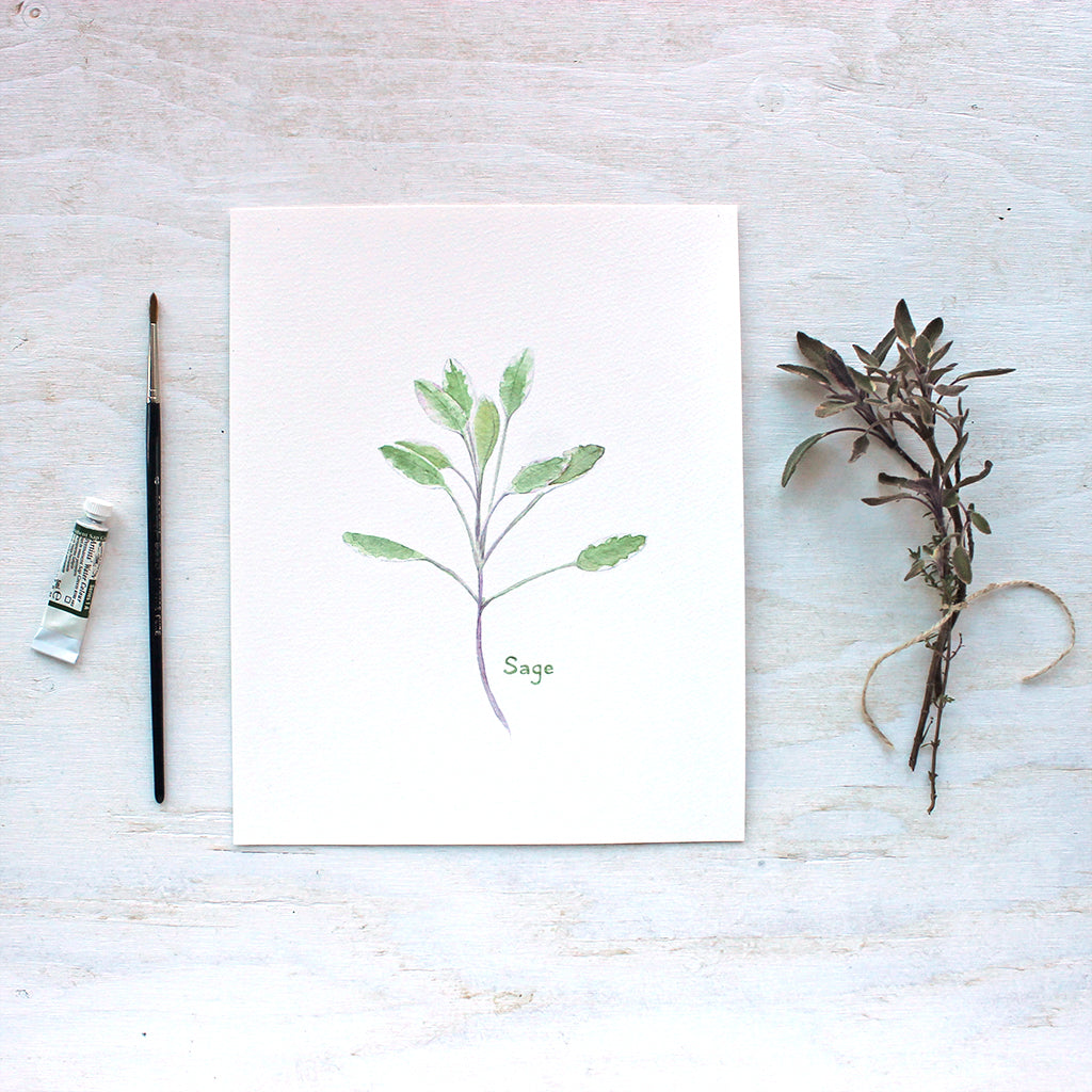 An art print featuring a lovely botanical watercolour painting featuring a stem of sage. Artist Kathleen Maunder.