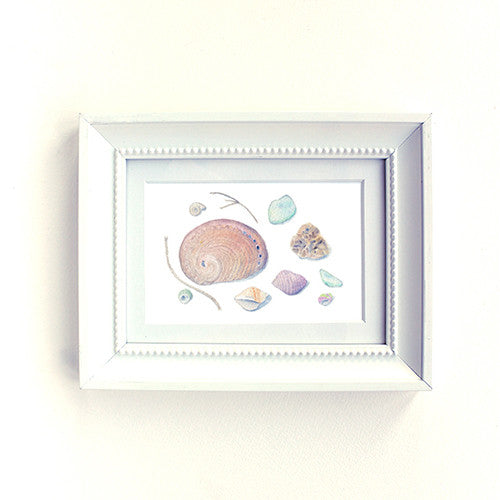 Shells and Sea Glass 5 x 7 Print