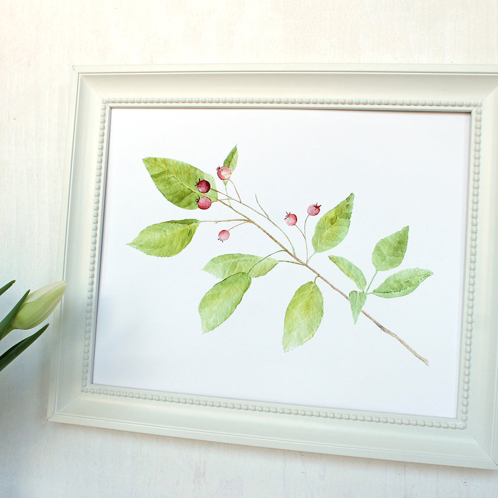 Leaves and berries - Print of watercolor painting of a serviceberry branch. Artist Kathleen Maunder.