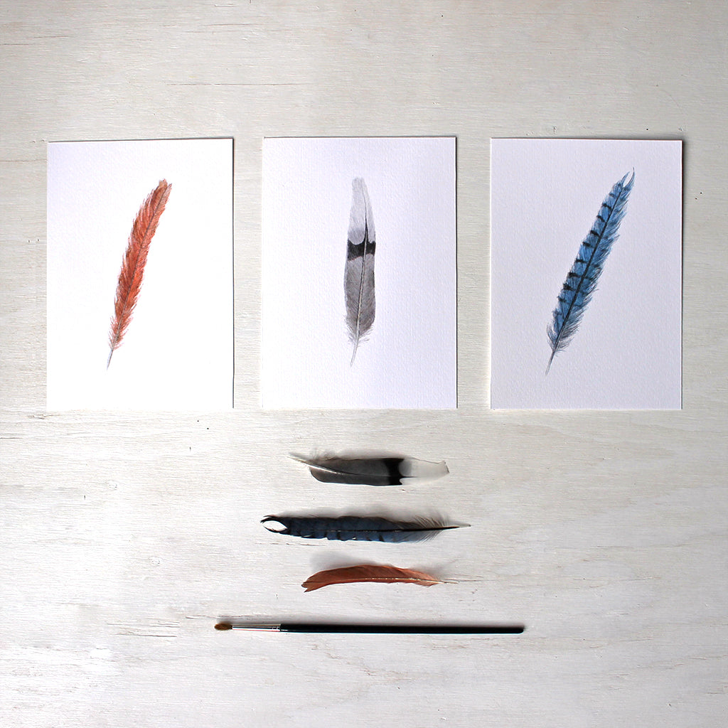 Set of three art prints featuring watercolor paintings of a female cardinal feather, mourning dove feather and blue jay feather. Artist Kathleen Maunder.