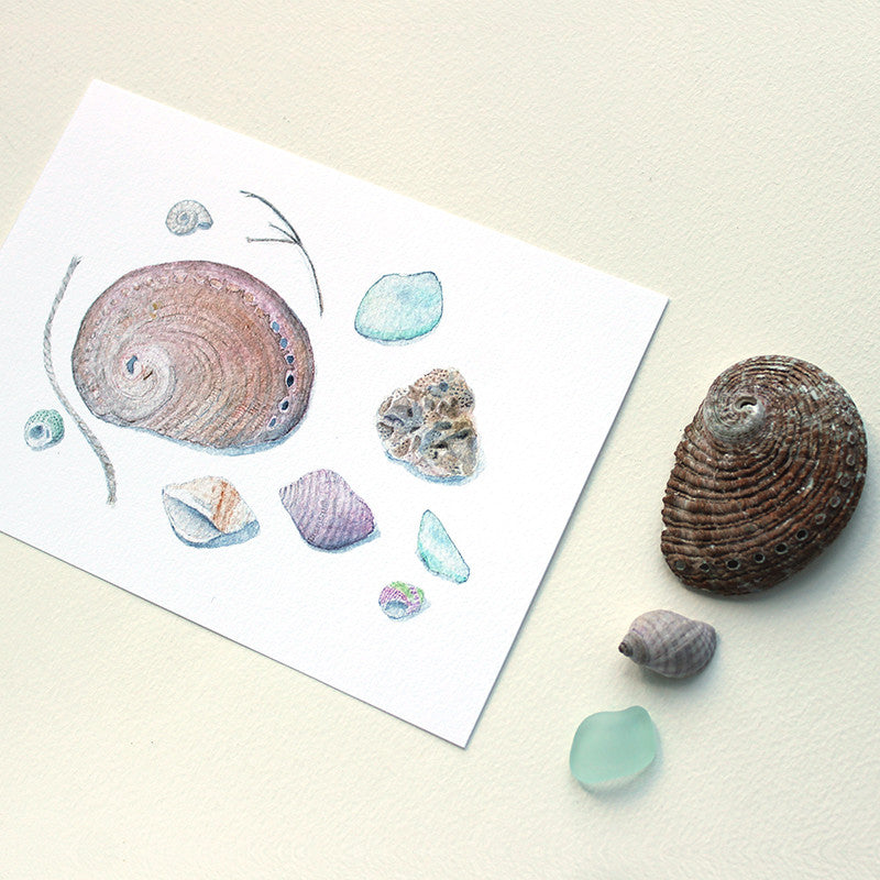 Shells and Sea Glass 5 x 7 Print