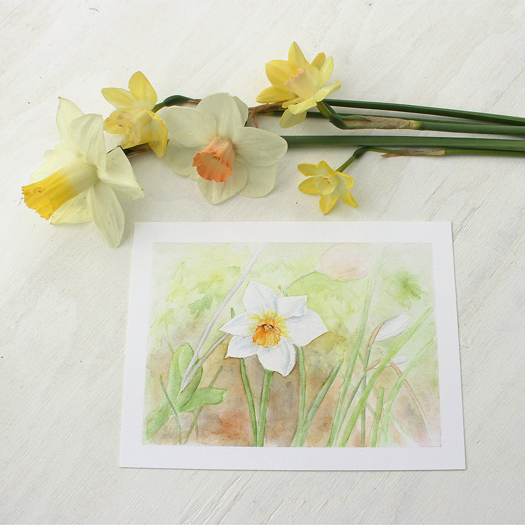 Print featuring a watercolor painting of a single daffodil by Kathleen Maunder