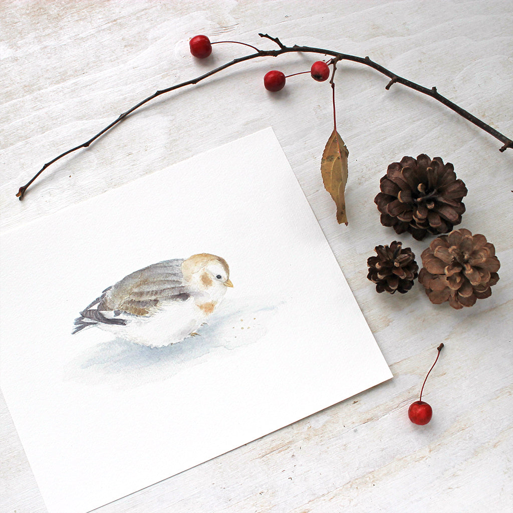 Delicate, detailed watercolor painting of a snow bunting. Bird art by artist Kathleen Maunder