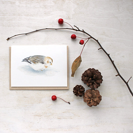 Snow bunting - bird cards by watercolor artist Kathleen Maunder of Trowel and Paintbrush