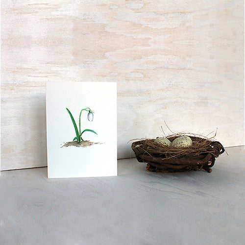 Perce-neige - Cinq cartes sans texte