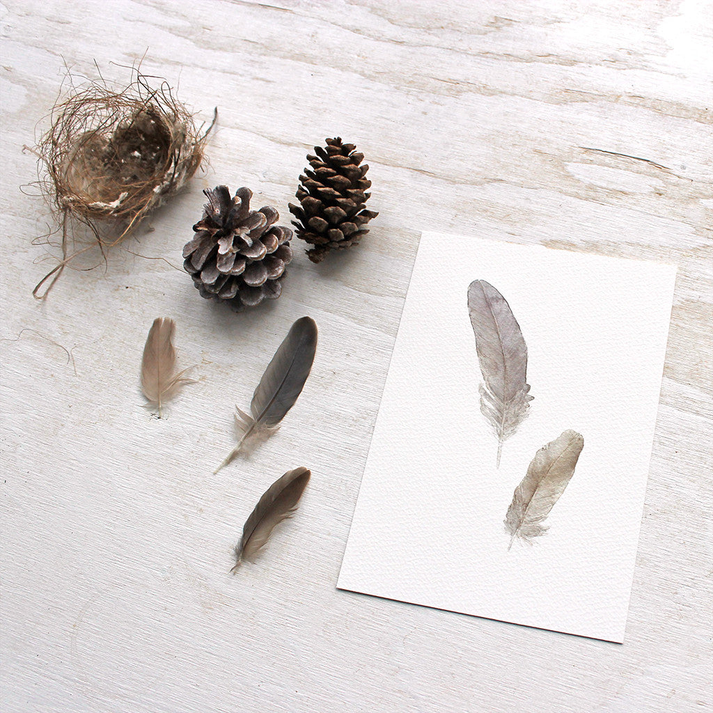 A 5 x 7 art print of sparrow feathers based on an original watercolor by Kathleen Maunder