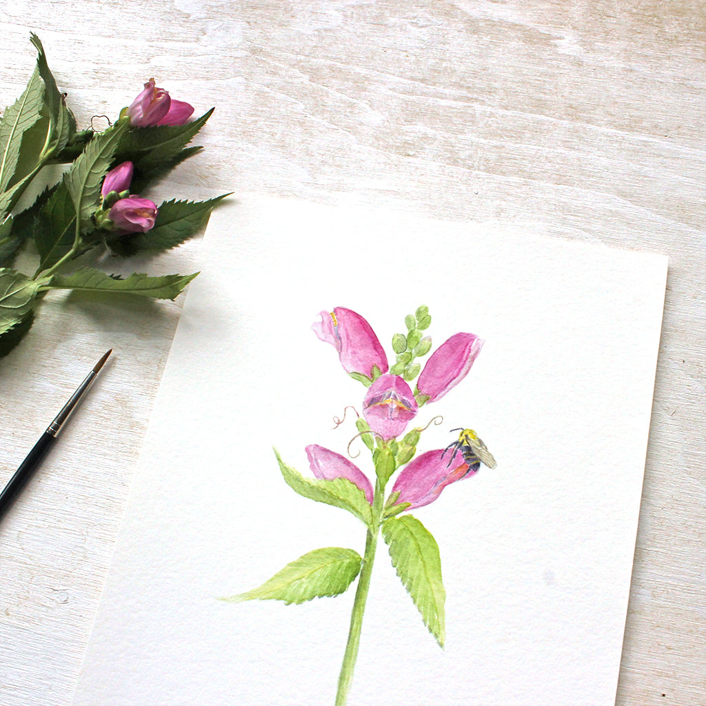 Close up of 'Turtlehead flowers and bee' watercolor painting by Kathleen Maunder