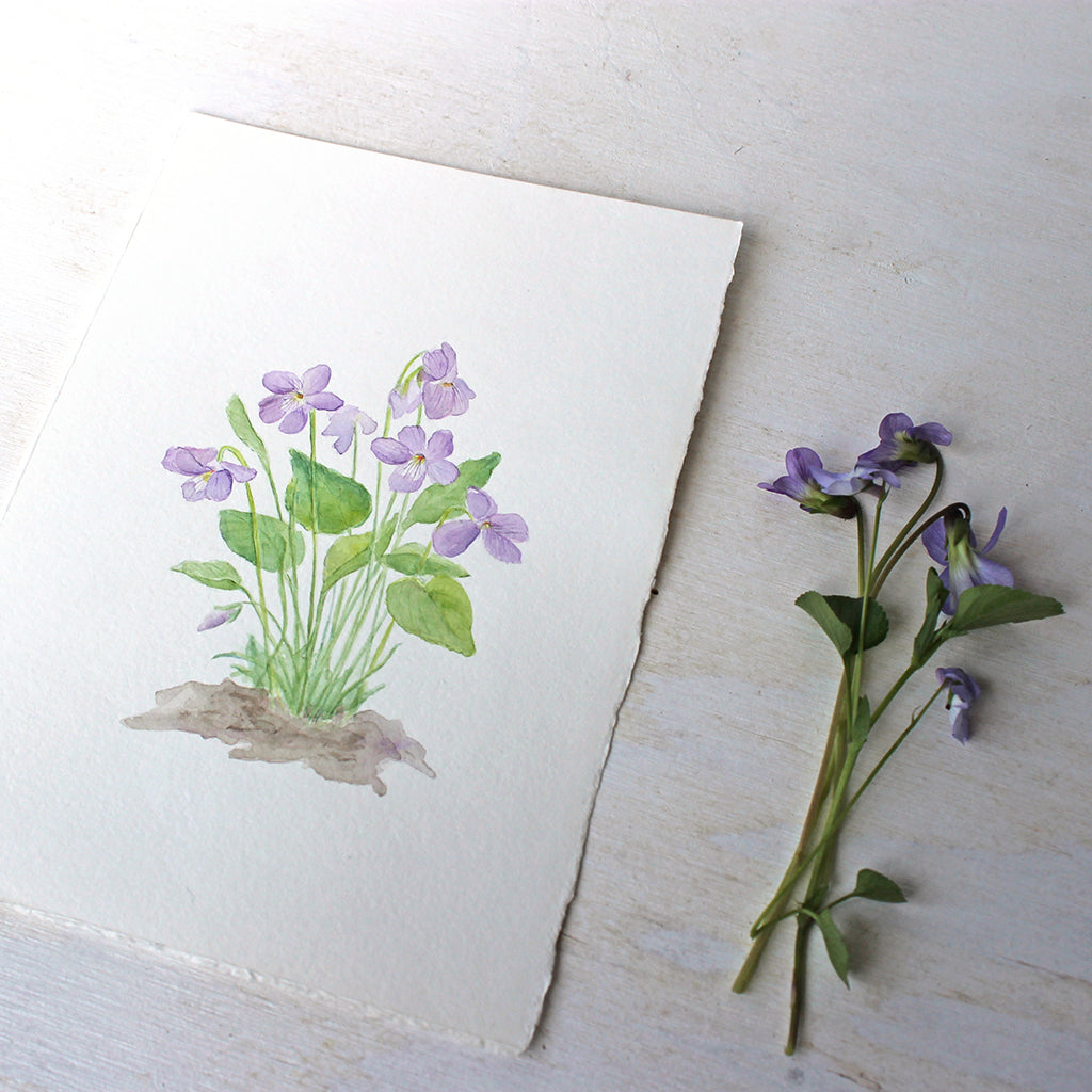 Original watercolor painting of wood violets by Kathleen Maunder