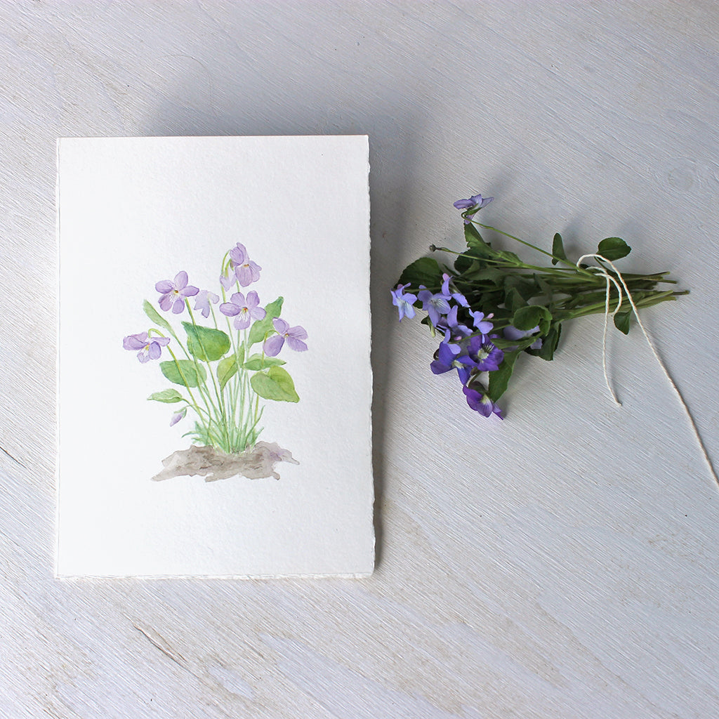 Original watercolor painting of wood violets by Kathleen Maunder