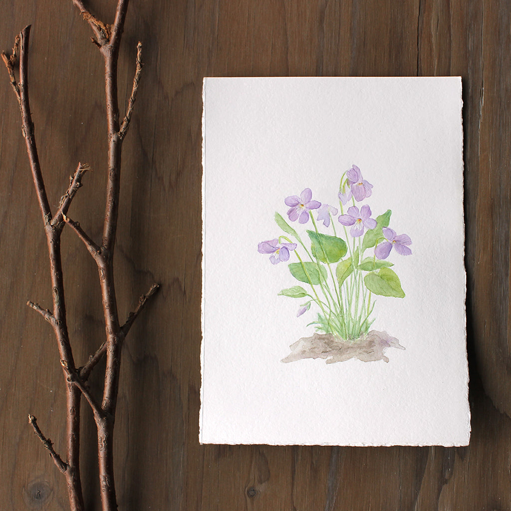 Original watercolor painting of wood violets by Kathleen Maunder