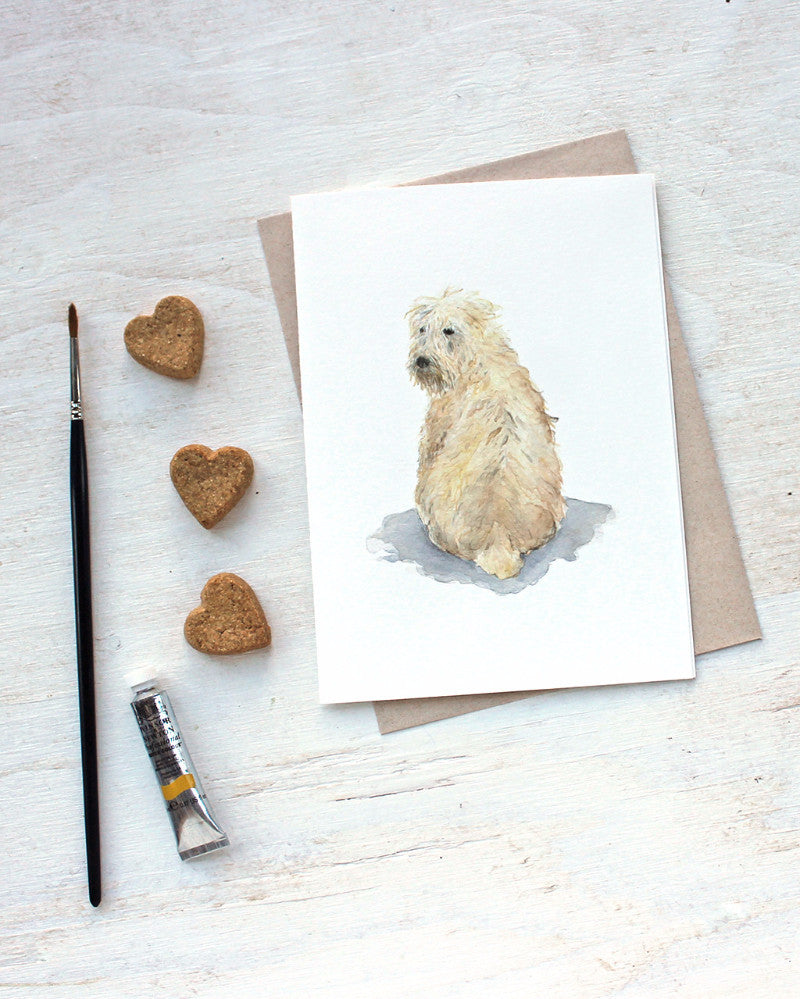 Soft coated wheaten terrier. Dog note cards by watercolor artist Kathleen Maunder.